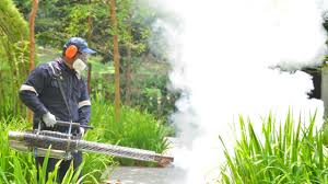 Best Fumigation Services  in Metter, GA